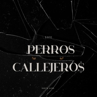 Perros Callejero$