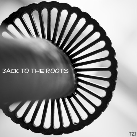 Back to the Roots | Boomplay Music