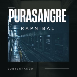 Purasangre