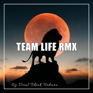 Team Life Rmx