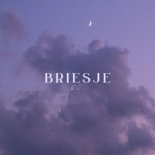 Briesje