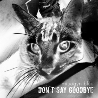 Don't Say Goodbye