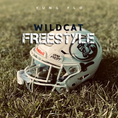 Wildcat Freestyle | Boomplay Music