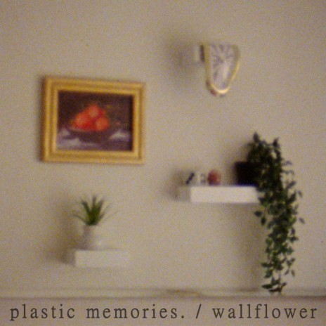 wallflower | Boomplay Music