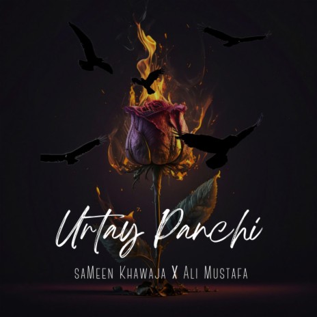 Urtay Panchi ft. Ali Mustafa | Boomplay Music