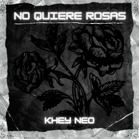 No Quiere Rosas | Boomplay Music