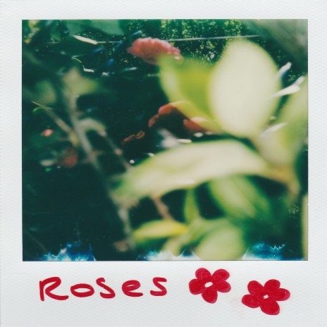 Roses | Boomplay Music