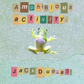 Amphibious Activity