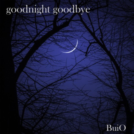 Goodnight Goodbye | Boomplay Music