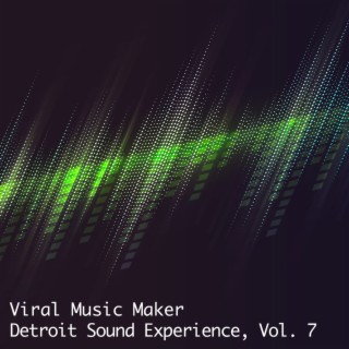 Detroit Sound Experience, Vol. 7