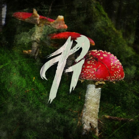 Beware the Forest's Mushrooms | Boomplay Music