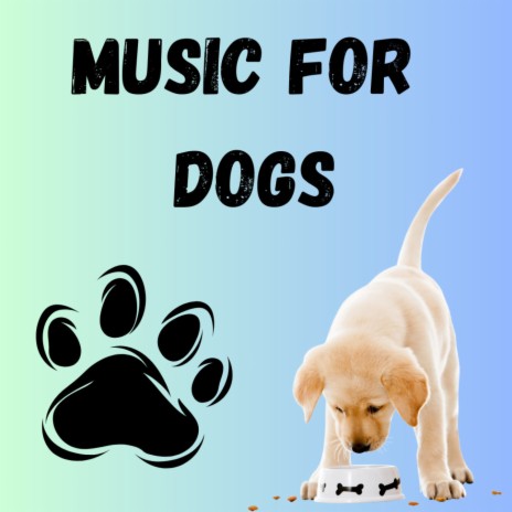 Background Music for Dogs ft. Music For Dogs, Calm Pets Music Academy & Relaxing Puppy Music | Boomplay Music