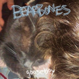 bearbones lyrics | Boomplay Music