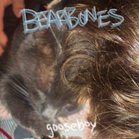 bearbones | Boomplay Music