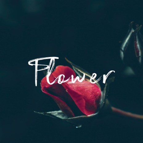 Flower | Boomplay Music