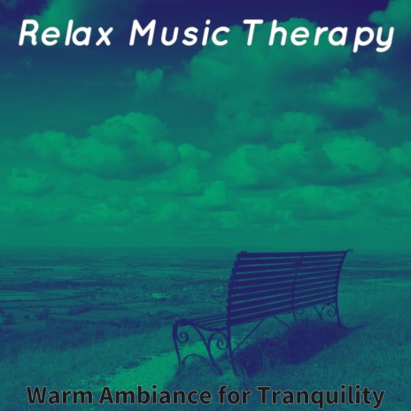 Magnificent Ambiance for Serene Moments | Boomplay Music