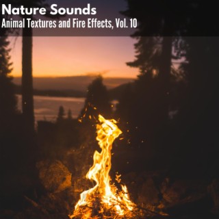 Nature Sounds - Animal Textures and Fire Effects, Vol. 10