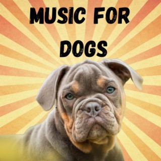 Music For Dogs (Vol.138)