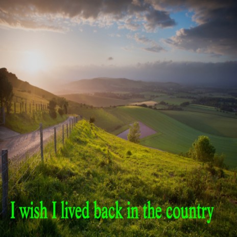 I Wish I Lived Back in the Country | Boomplay Music