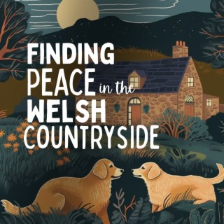 Finding Peace in the Welsh Countryside