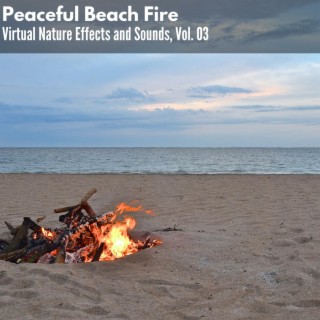 Peaceful Beach Fire - Virtual Nature Effects and Sounds, Vol. 03