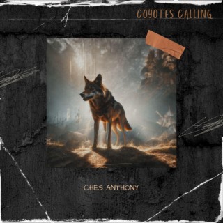 Coyotes Calling