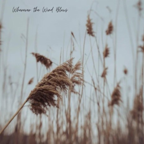 Wherever The Wind Blows | Boomplay Music