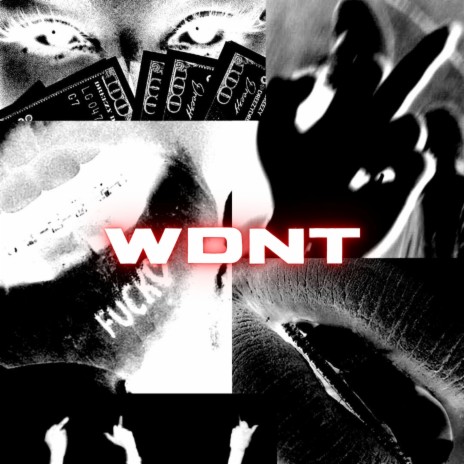 WDNT | Boomplay Music