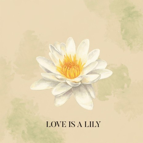 Love Is A Lily | Boomplay Music