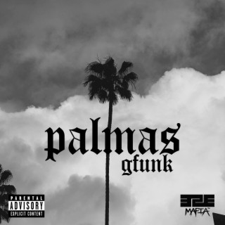 Palmas G Funk