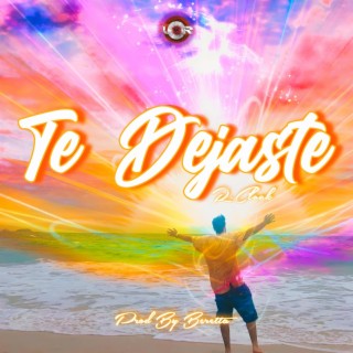 Te dejaste