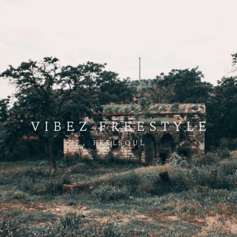 VIBEZ FREESTYLE | Boomplay Music