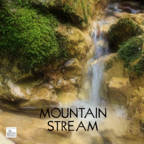 River Stream, Gentle Rain Sound and Birds Singing in the Morning - Natural Sleep Aid Relaxing Music Sleep | Boomplay Music