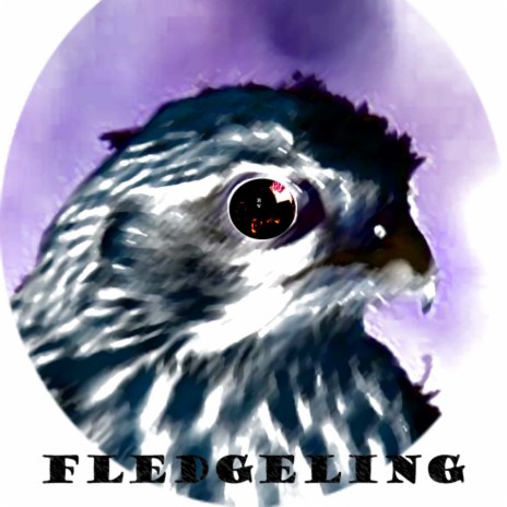Fledgeling 2022 | Boomplay Music