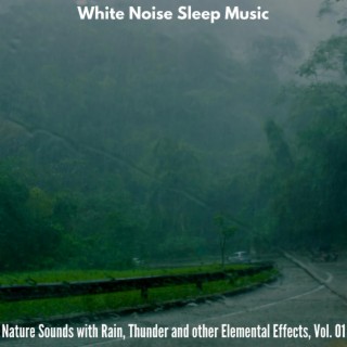 White Noise Sleep Music - Nature Sounds with Rain, Thunder and other Elemental Effects, Vol. 01