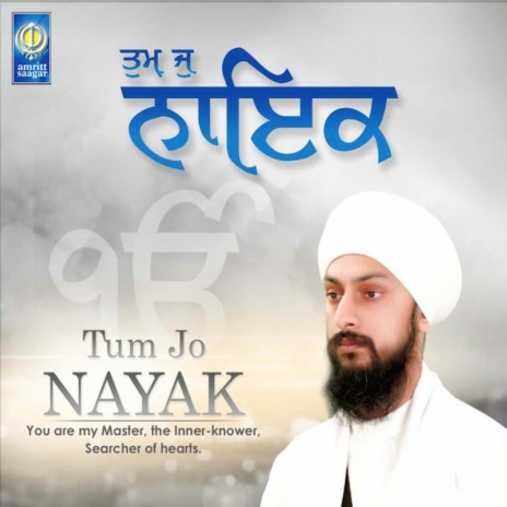 Tum Jo Nayak | Boomplay Music