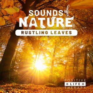 Sounds Of Nature Rustling Leaves