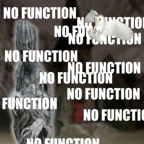 No function