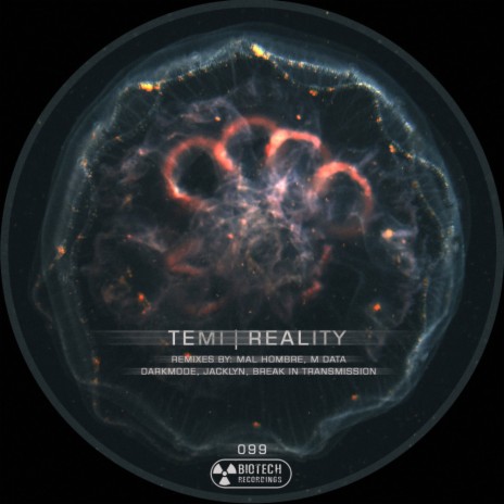 Reality (Break in Transmission Remix)