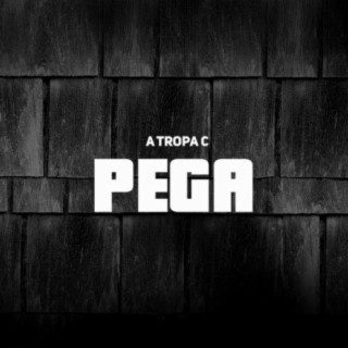 Pega