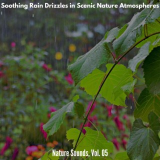 Soothing Rain Drizzles in Scenic Nature Atmospheres - Nature Sounds, Vol. 05