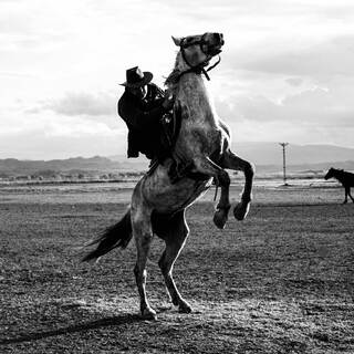 Download D3 album songs: Giddy up | Boomplay Music