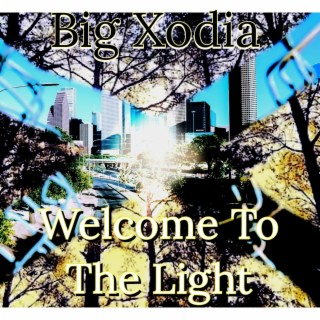 Welcome To The Light