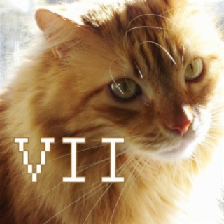 VII