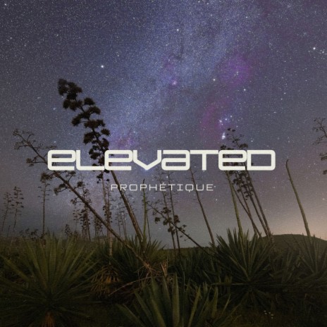 Elevated | Boomplay Music