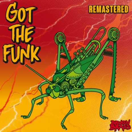 Got The Funk (RaveDaves remix) | Boomplay Music