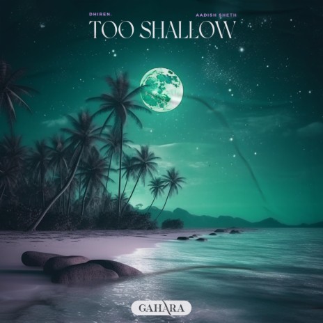 Too Shallow ft. Aadish Sheth | Boomplay Music