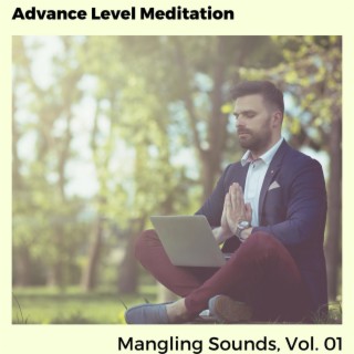 Advance Level Meditation - Mangling Sounds, Vol. 01