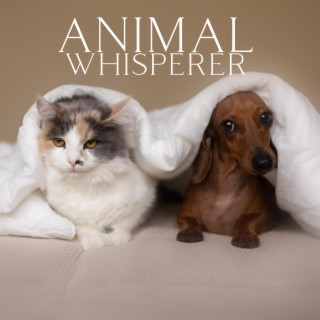 Animal Whisperer: Sound Therapy for Pets, Anxiety Alleviation for Dogs and Cats, Calm Companions