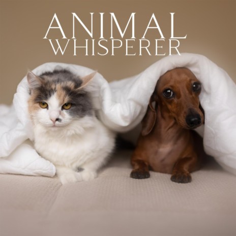Soothing Music to Keep Your Pet Quiet